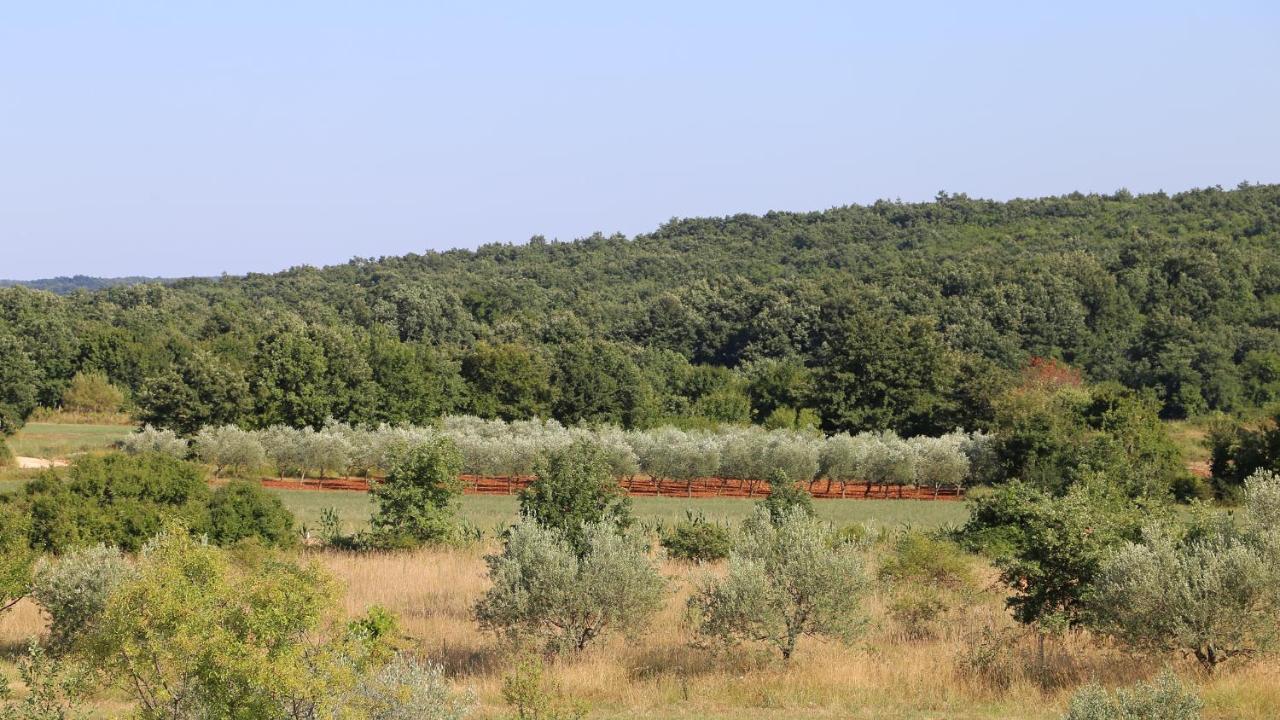 Villa Casa Conte Istria Kanfanar Esterno foto
