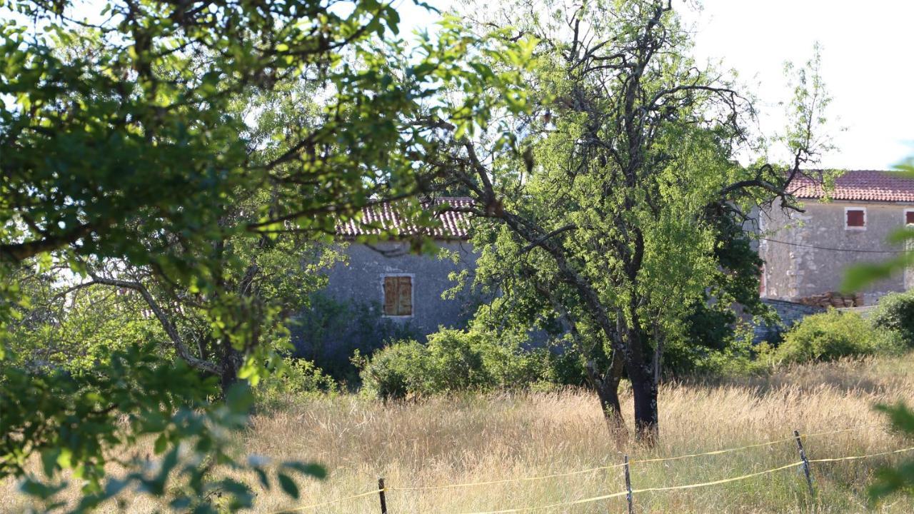 Villa Casa Conte Istria Kanfanar Esterno foto