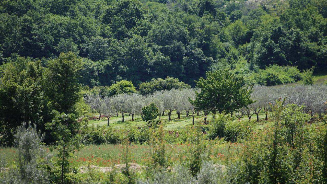 Villa Casa Conte Istria Kanfanar Esterno foto