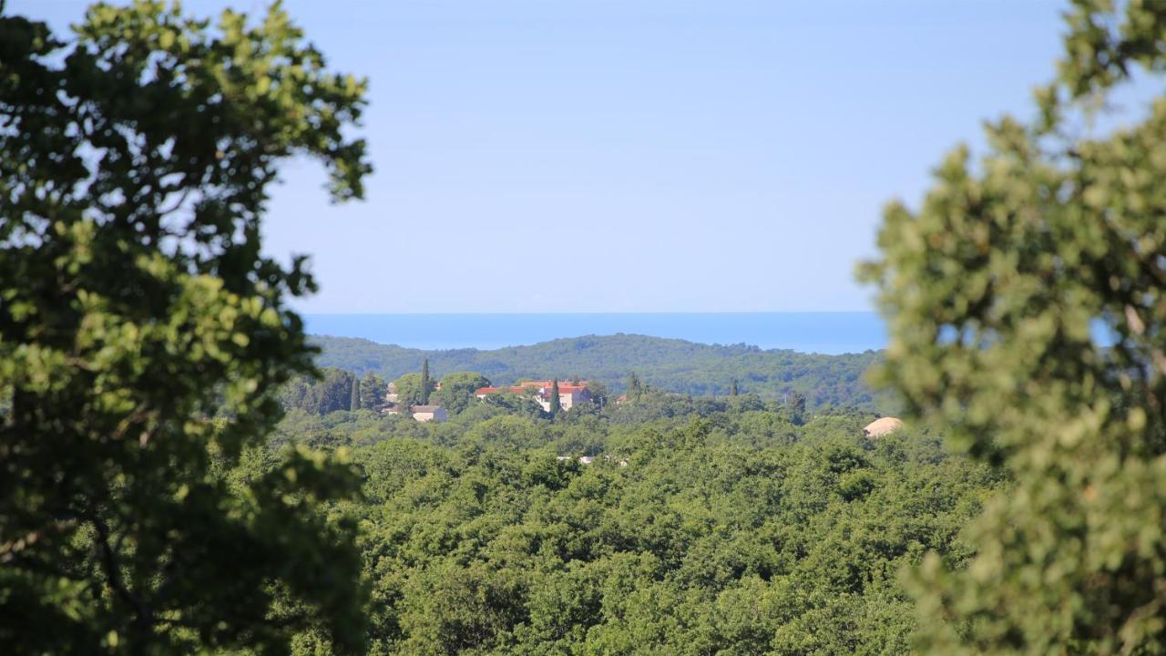 Villa Casa Conte Istria Kanfanar Esterno foto